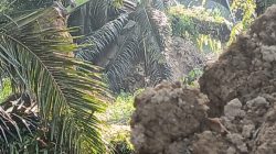 Warga Muara Langsat Desak Tindak Tegas Tambang Ilegal Agus