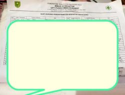 Viral,! Isu Pemalsuan Data CKG di Puskesmas Peranap, Diminta Kajari Turun Tangan