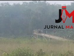Marak PETI Terang-Terangan di Koto Rajo Kuansing, Ratusan Dompeng Beroperasi — Diduga Dikendalikan Big Boss SBR dan AO